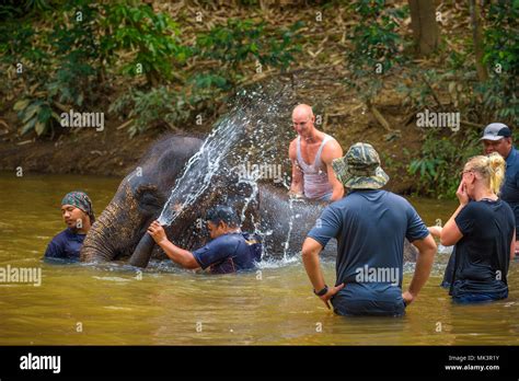 People bathing with a baby elephant Stock Photo - Alamy