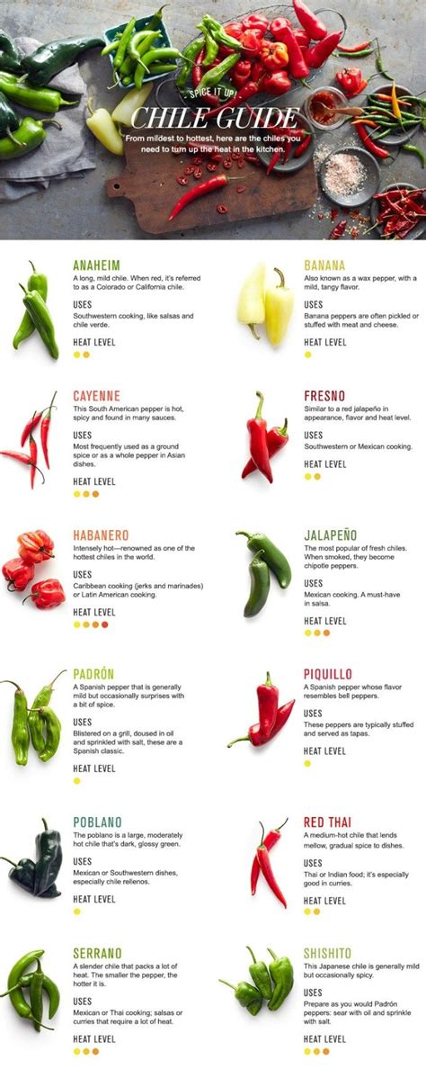 12 Types of Chillies and How to Cook with Them | Alimentos fermentados ...