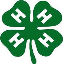 Learn More About the 4-H Youth Development Programs - The County Insider