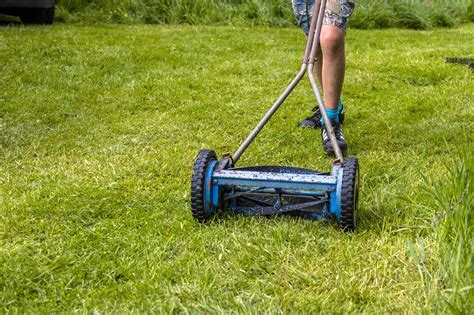 What Are The Different Types of Lawn Mowers? - 1001 Gardens