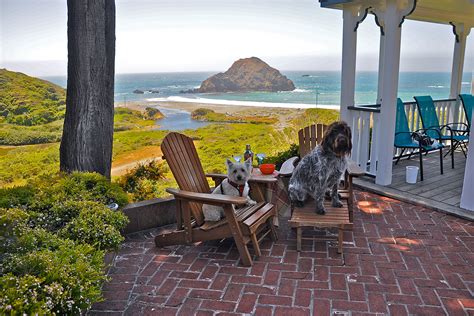 12 Most Pet-Friendly Boutique Hotels and B&Bs in California | CABBI