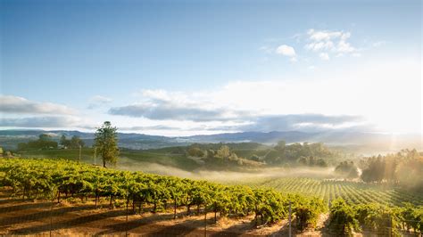 35 Best Sonoma Wineries & Wine Tasting Tours for 2024