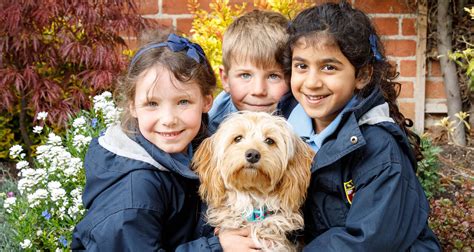 The Benefits of a School Dog | Independent School Parent