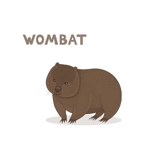 Premium Vector | Cartoon wombat isolated on a white background