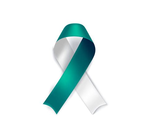 Cervical cancer awareness symbol. Teal and white ribbon isolated on ...