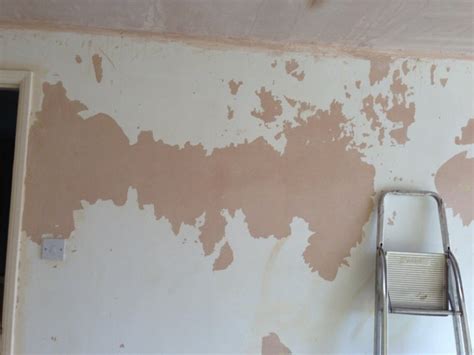 Painting over patchy paint/plaster | DIY Home Improvement Forum