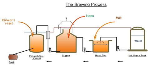 The Beer Brewing Process - The Monk