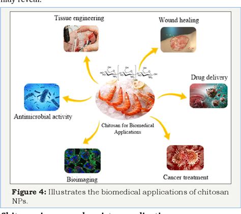 Figure 4 from Chitosan as Promising Materials for Biomedical ...