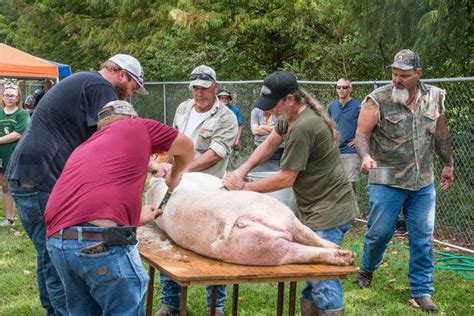 The Bayou - why you need to visit Louisiana's Cajun country