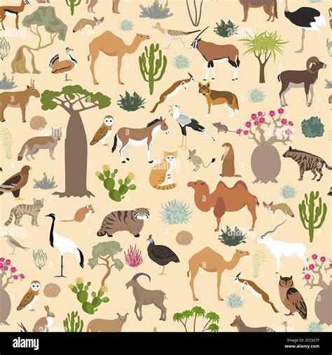 Desert biome, xeric shrubland biome, natural region seamless pattern ...