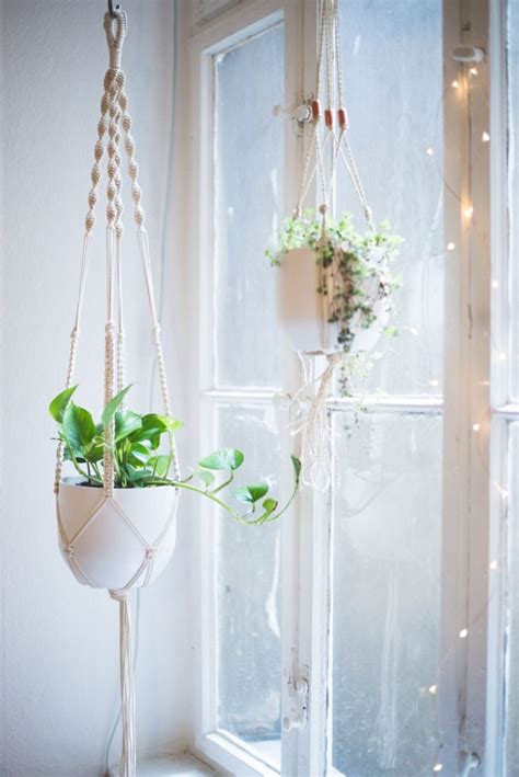 DIY Macrame Plant Holders: A Chic Way to Hang Indoor Plants