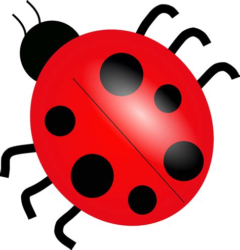 Download Ladybug, Ladybird, Bug. Royalty-Free Vector Graphic - Pixabay