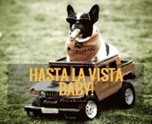 Hasta la Vista – Meaning, Origin and Usage - English-Grammar-Lessons.com