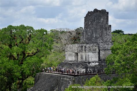 Tikal National Park | Natural World Heritage Sites