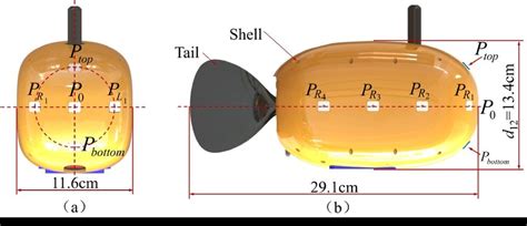 The robotic fish with artificial lateral line system. (a) Front view of ...