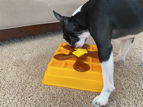 The 19 Best Puzzle Toys That Actually Help Bored Dogs | Rover.com