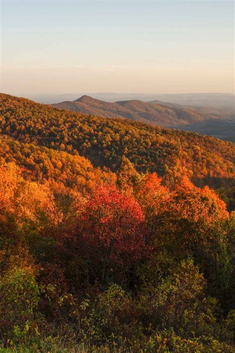 Shenandoah National Park Fall