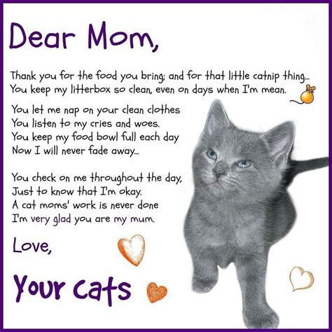 Made With 🧡 For Cats 🐱 on Instagram: “Happy Mother's Day, cat parents ...