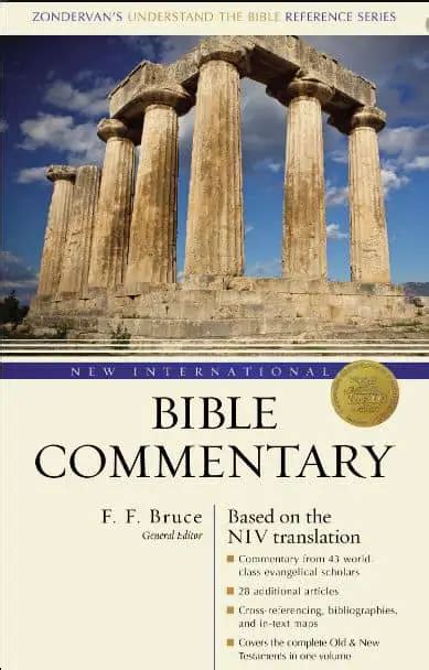 Which Bible Commentary Should I Use? A Simple Guide - Best Bible ...