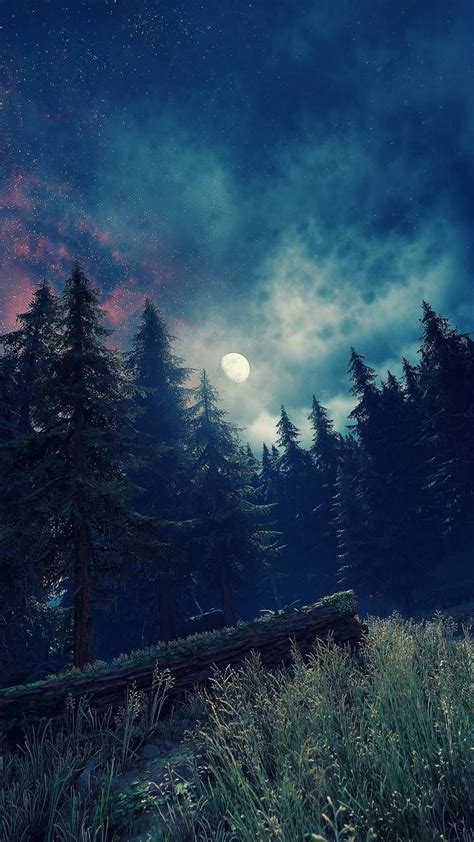 Moonlit Forest Wallpaper