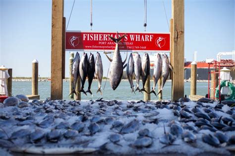 Gulf Tuna Fishing Tips and Tricks - Port Aransas Fishing at Fishermans ...