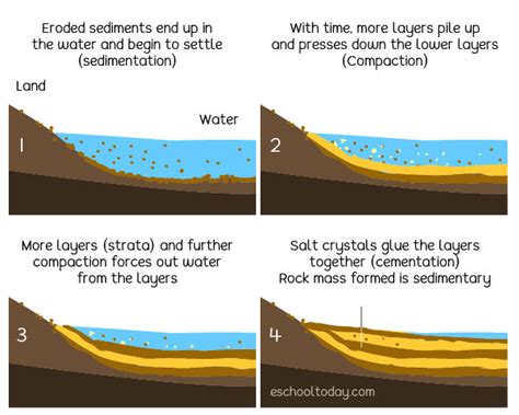 Sedimentary Rocks – Eschooltoday