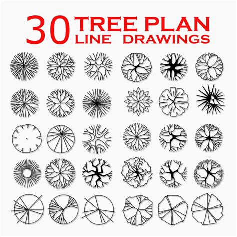 Landscape Tree Top View, Tree Stamp, Landscape Design Templates, Custom ...