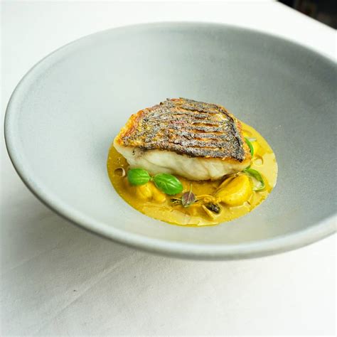 Seared stone bass with fennel compote and mussel laksa