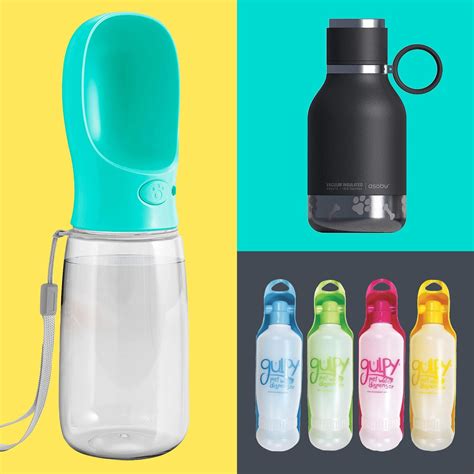 5 Best Dog Water Bottle Picks for Keeping Your Pup Hydrated On The Go