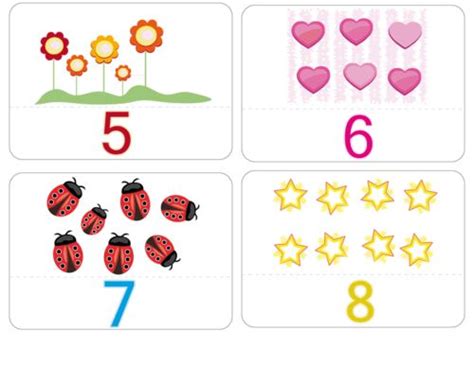 Counting Numbers Flashcards 5 - 8