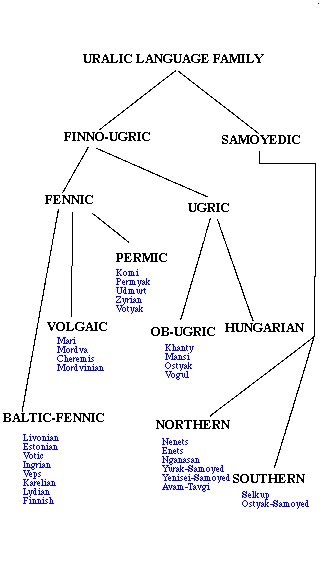 Division of Uralic Languages