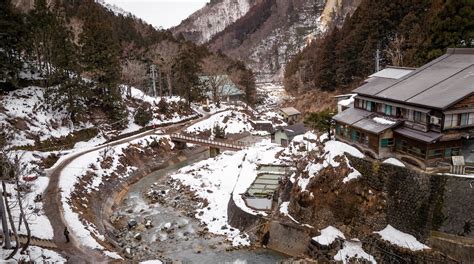 Jigokudani Monkey Park in Yamanouchi | Expedia