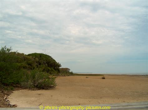 aransas wildlife refuge april2005 5