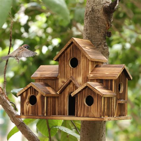 10 Best Goldfinch Bird Houses for Your Garden - Hummingbirds Plus