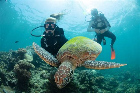 Great Barrier Reef Cruise with Scuba Diving - Cairns - Adrenaline