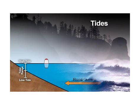 NOAA Ocean Explorer: Education - Multimedia Discovery Missions | Lesson ...