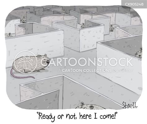 Rat Maze Cartoons and Comics - funny pictures from CartoonStock