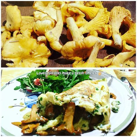 #girolles #omelette It is Girolles season! | Cooking, Food, Delish