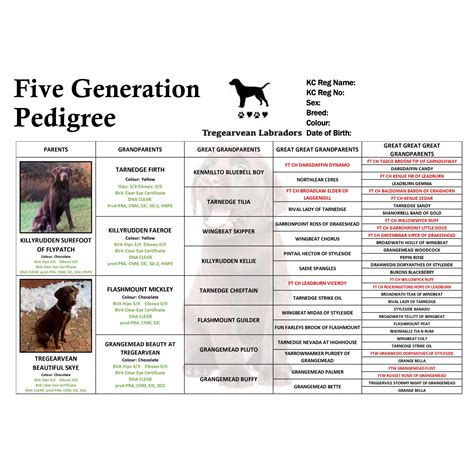 Pedigree Certificate Sets