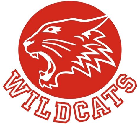 "Wildcats (High School Musical)" by Karen Cho | Redbubble