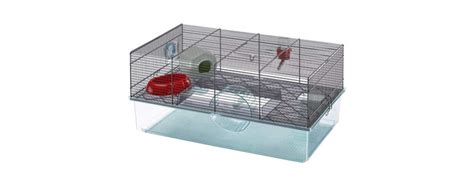 Best Mouse Cages in 2022 | My Pet Needs That