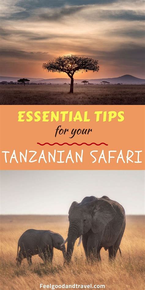 Tanzania Safari Tips to Help You Prepare for an Amazing Adventure ...