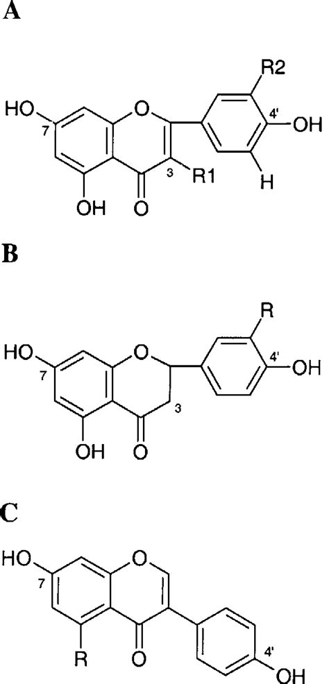 Structures of flavonoid aglycones (A) Quercetin (R1, OH; R2, OH ...