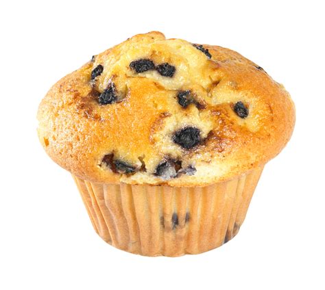 Blueberry Yogurt Muffin