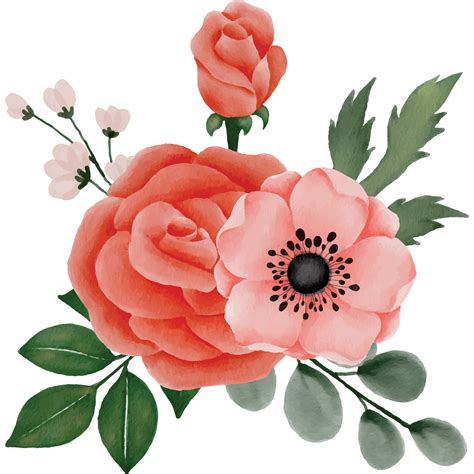 Rose With Peony Flower Bouquet Clip art Element Transparent Background ...