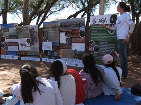 Learn more about the Andean cat–Wildlife Conservation Network