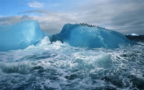 nature, Landscape, Sea, Waves, Antarctica, Iceberg, Glaciers, Animals ...