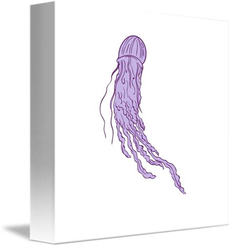 Box Jellyfish Drawing at PaintingValley.com | Explore collection of Box ...