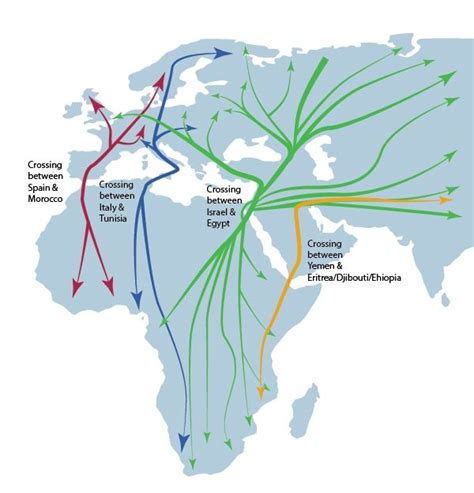 Migratory birds routes only a very expert pilot can navigate with such ...