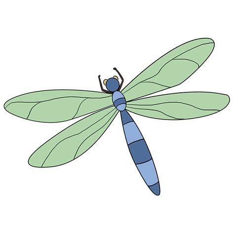 How To Draw A Dragonflies » Countermention